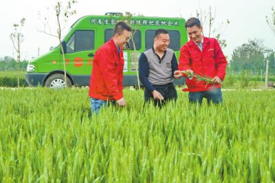 91视频观看网站化肥定製化生產讓經銷商扮演新角色